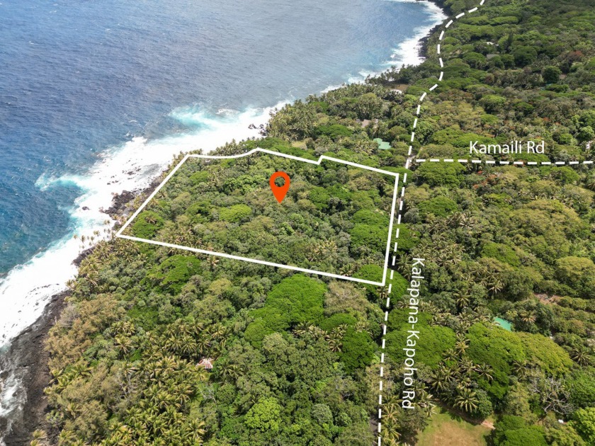 To call this a rare opportunity would be an understatement.  On - Beach Acreage for sale in Pahoa, Hawaii on Beachhouse.com