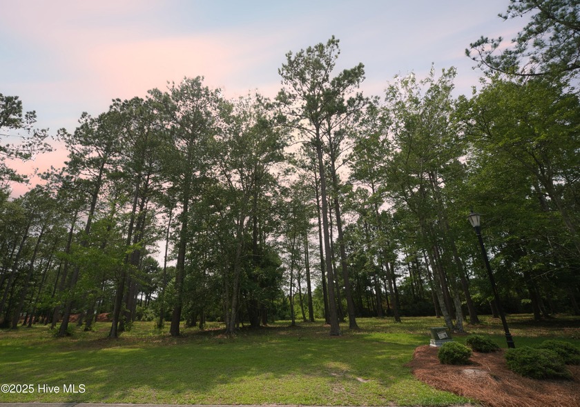 This is the one! This beautiful homesite is located on a - Beach Lot for sale in Ocean Isle Beach, North Carolina on Beachhouse.com