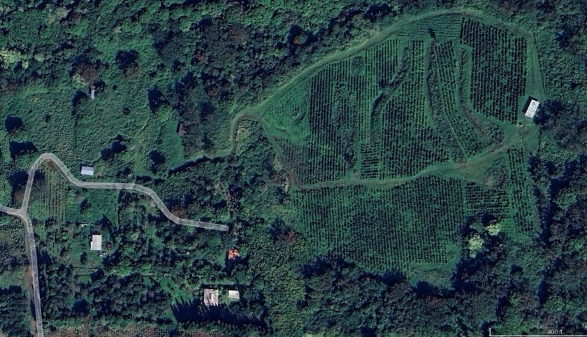 This is a leasehold property. Lease consists of 4 TMKs - Beach Acreage for sale in Captain Cook, Hawaii on Beachhouse.com