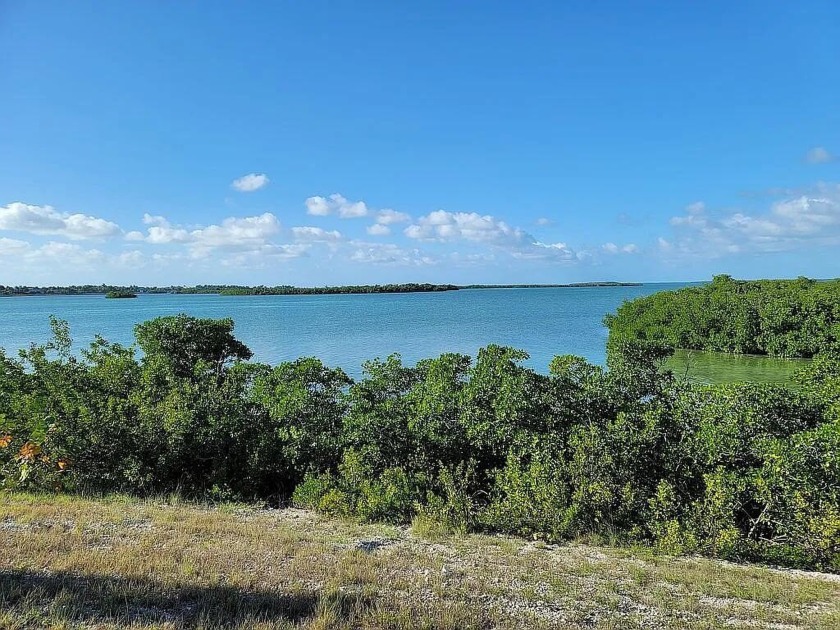 SPECTACULAR ONE OF A KIND!!! PRIVATE ISLAND.....Huge Opportunity - Beach Lot for sale in Saddlebunch, Florida on Beachhouse.com