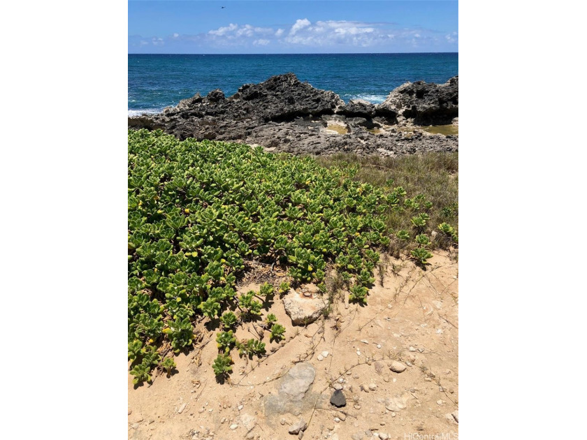 2 Acres of Oceanfront Land on the North Shore of Oahu. Just east - Beach Lot for sale in Kahuku, Hawaii on Beachhouse.com