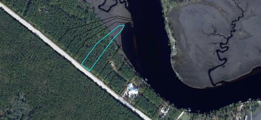 Beautiful 1 acre River Front lot on the New River. Wooded, with - Beach Lot for sale in Carabelle, Florida on Beachhouse.com