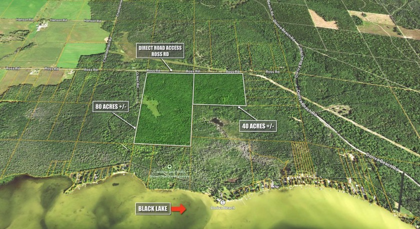 Opportunities abound: 120 acres near Black Lake two parcels one - Beach Acreage for sale in Cheboygan, Michigan on Beachhouse.com
