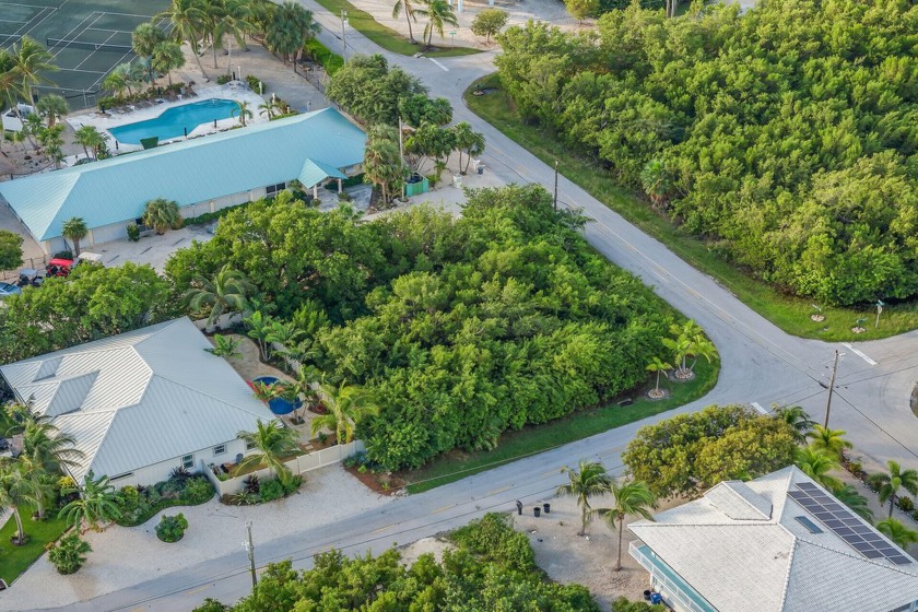 Ready to live in this golfcart community?  This spacious vacant - Beach Lot for sale in Duck Key, Florida on Beachhouse.com