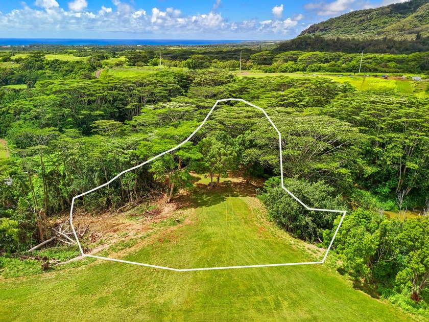 Welcome to your dream retreat! This 3.09 acre pristine hilltop - Beach Acreage for sale in Kapaa, Hawaii on Beachhouse.com