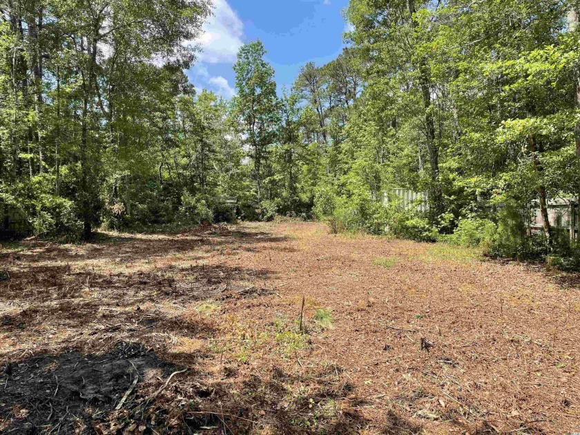 Large, mostly cleared, secluded lot in a great neighborhood - Beach Lot for sale in Little River, South Carolina on Beachhouse.com