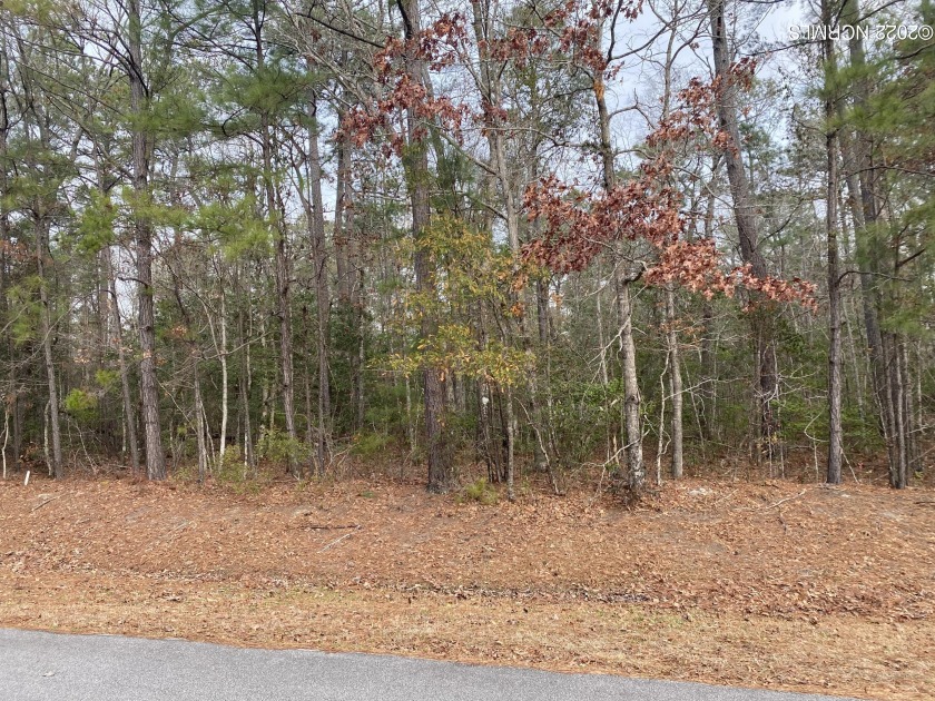 Looking for an opportunity to buy land, build your dream home - Beach Lot for sale in Havelock, North Carolina on Beachhouse.com