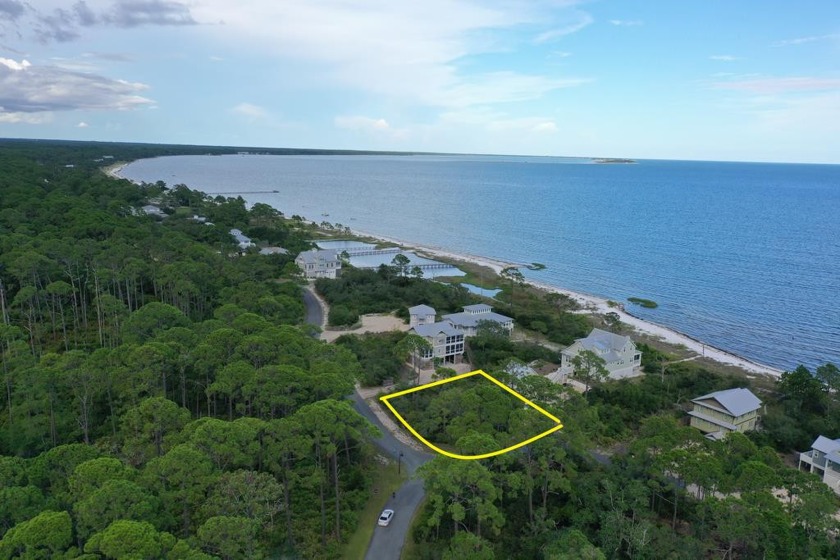 This fabulous homesite is 15 steps to the community beach access - Beach Lot for sale in Sopchoppy, Florida on Beachhouse.com