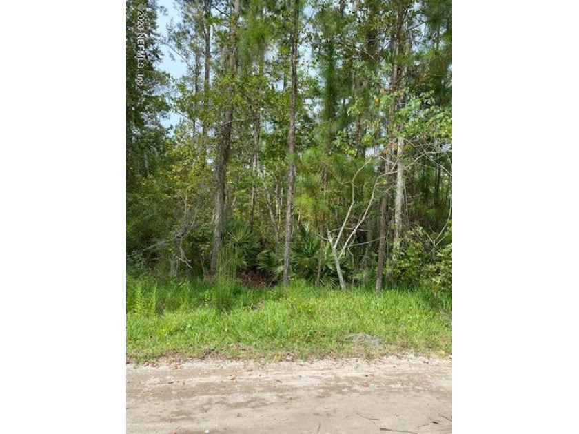 Nice wooded lot on Calais street.  Great Location close to Town - Beach Lot for sale in Jacksonville, Florida on Beachhouse.com
