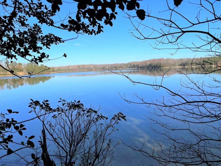 Gorgeous views are available from this wooded waterfront parcel - Beach Lot for sale in Lancaster, Virginia on Beachhouse.com