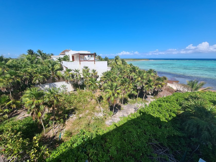 This spectacular land is located on the most exclusive beach of - Beach Lot for sale in Tulum, Quintana Roo, Mexico on Beachhouse.com