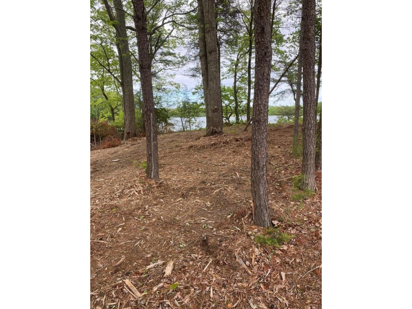 High ground on Presley Creek. Build a waterfront cottage on this - Beach Lot for sale in Heathsville, Virginia on Beachhouse.com