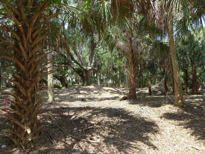 Very desirable 3rd row lot in a prime Myrtle Street location - Beach Lot for sale in Edisto Island, South Carolina on Beachhouse.com