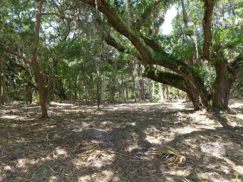 Choice 3rd row lot on quiet Myrtle Street only a few minutes - Beach Lot for sale in Edisto Island, South Carolina on Beachhouse.com
