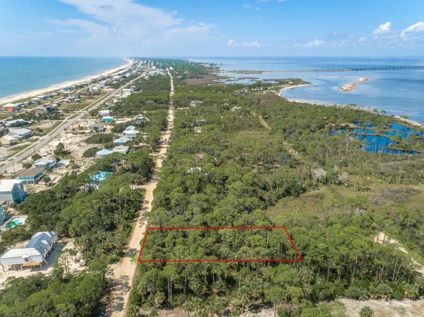 Tropical setting with lots of Palms, Oaks and Pines.  Beach - Beach Lot for sale in St. George Island, Florida on Beachhouse.com