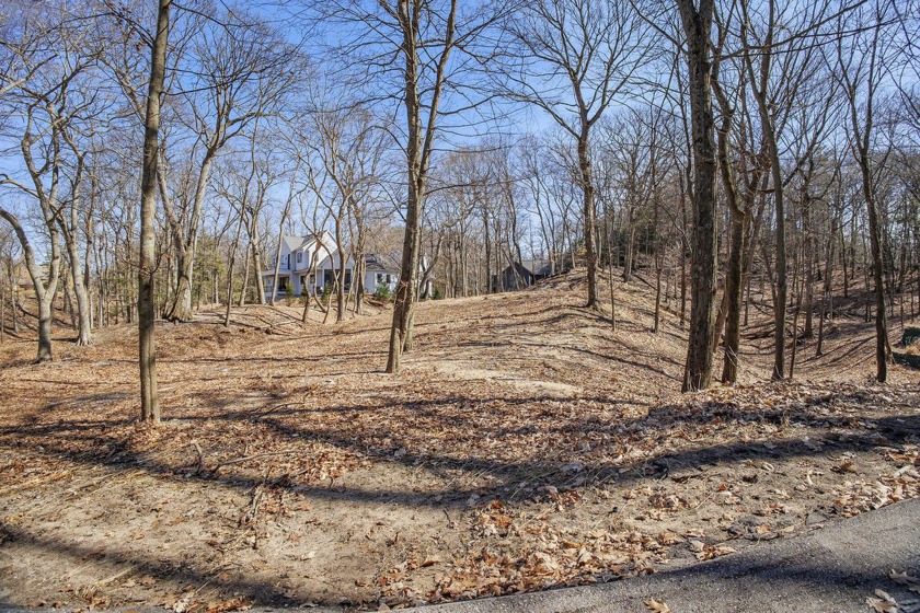 Experience the pinnacle of lakeside living in the exclusive - Beach Lot for sale in Saugatuck, Michigan on Beachhouse.com