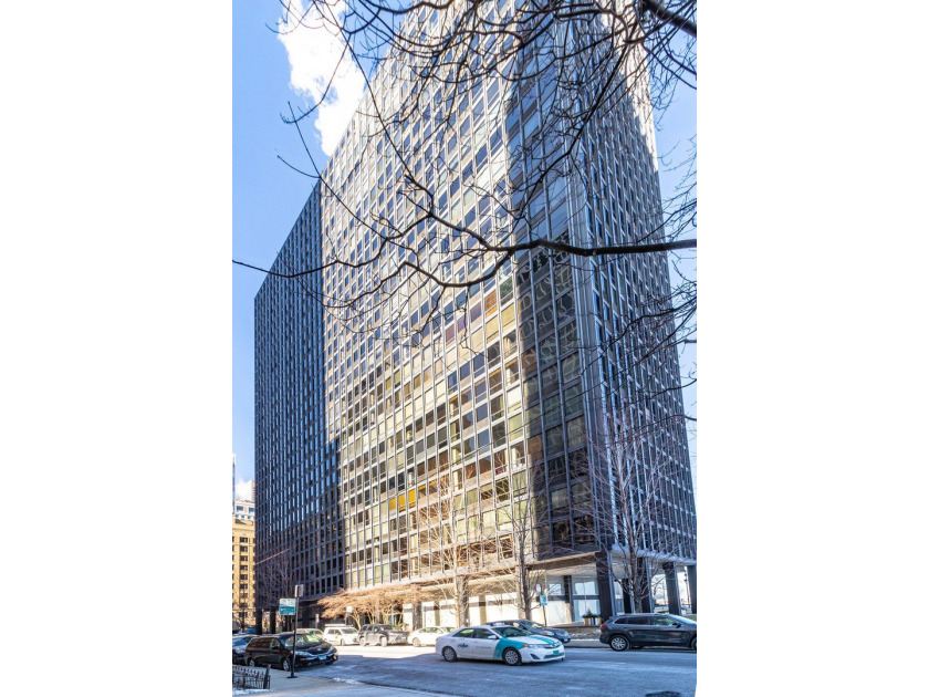 Spacious and beautifully proportioned large one-bedroom - Beach Condo for sale in Chicago, Illinois on Beachhouse.com