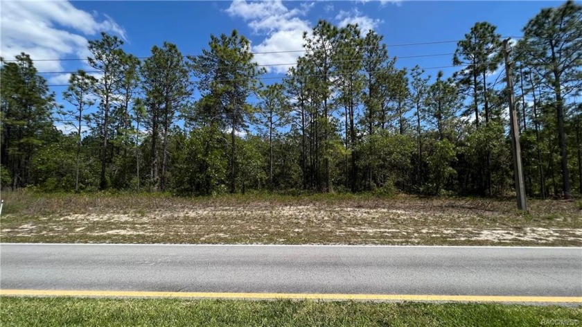 Now is the time to build your custom home in Sugarmill Woods - Beach Lot for sale in Homosassa, Florida on Beachhouse.com