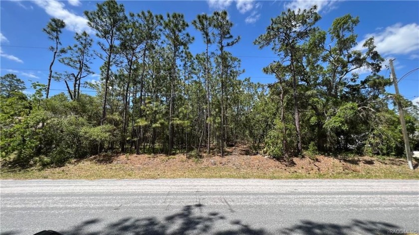 Large .30 Acre Vacant lot for sale in sought after, Cypress - Beach Lot for sale in Homosassa, Florida on Beachhouse.com