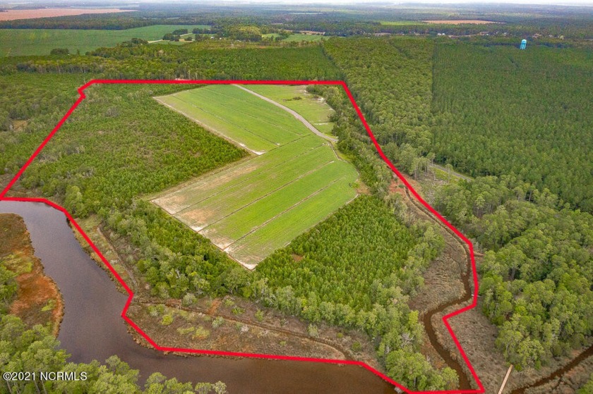 110 acres of UNRESTRICTED partially cleared, farm, and - Beach Acreage for sale in Oriental, North Carolina on Beachhouse.com