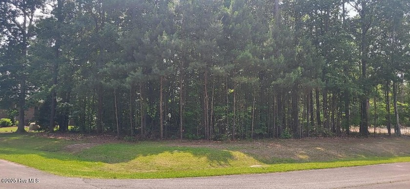 The perfect spot in the perfect location in beautiful Albemarle - Beach Lot for sale in Hertford, North Carolina on Beachhouse.com