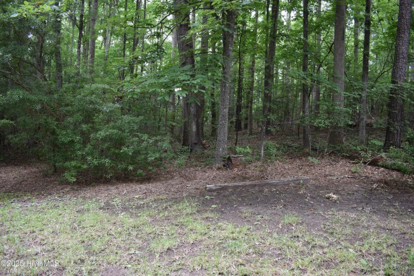Build your dream home on this .86 Acre lot that is on the creek - Beach Lot for sale in Blounts Creek, North Carolina on Beachhouse.com