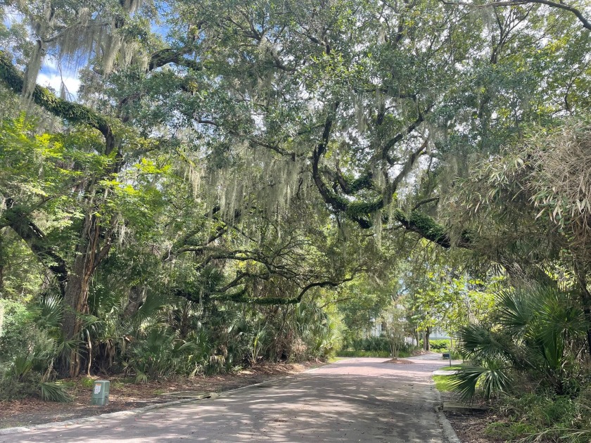If serenity is what you are looking for, this beautiful approx - Beach Lot for sale in Seabrook Island, South Carolina on Beachhouse.com
