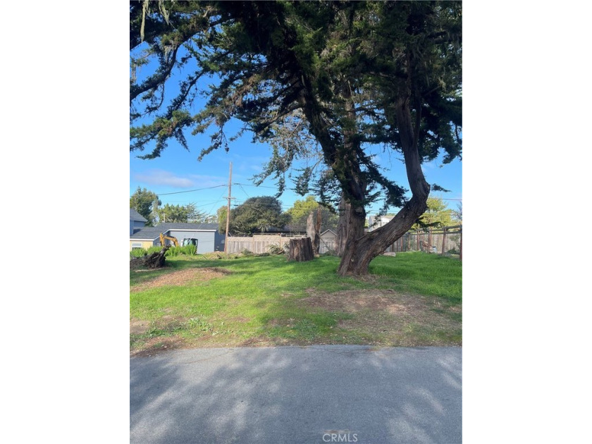 Double lot with two large Cypress Trees. #534 on CCSD water wait - Beach Lot for sale in Cambria, California on Beachhouse.com