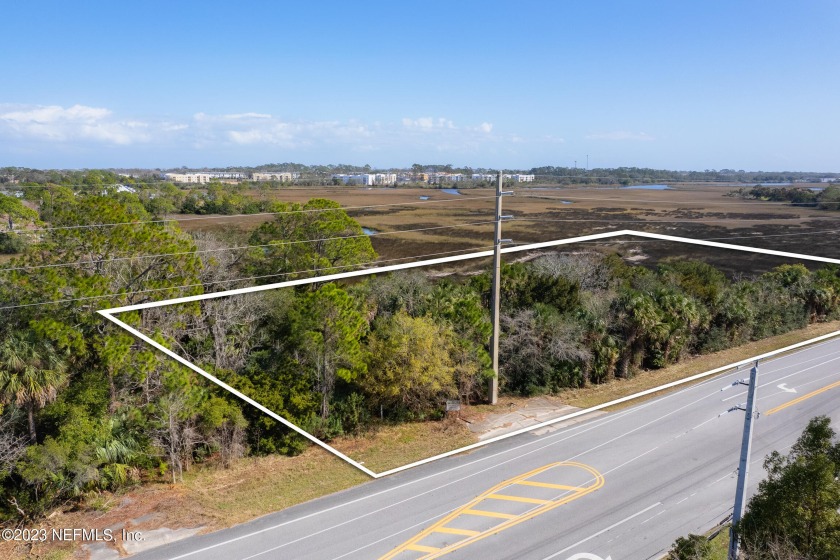 Immerse yourself in the natural beauty of this breathtaking - Beach Lot for sale in ST Augustine, Florida on Beachhouse.com