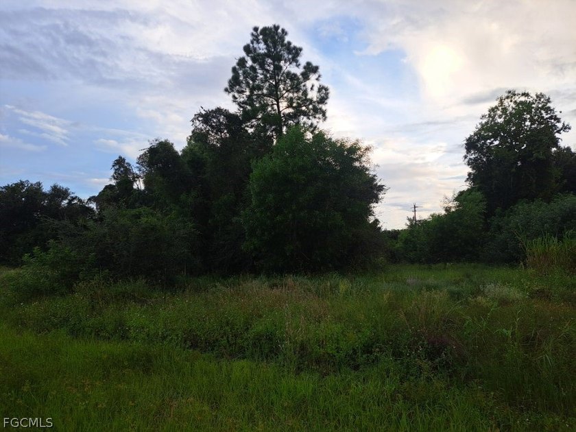 There is great potential in this DUPLEX-zoned lot located near - Beach Lot for sale in Lehigh Acres, Florida on Beachhouse.com