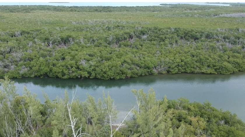 Ave N 2 LOTS 110 X 110 Each lot. Canal Front quick Ocean access - Beach Lot for sale in Marathon, Florida on Beachhouse.com