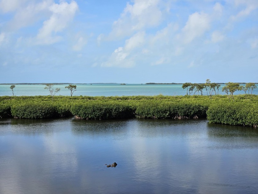 Your Key Largo Bayfront Escape Awaits!Embrace the perfect - Beach Townhome/Townhouse for sale in Key Largo, Florida on Beachhouse.com