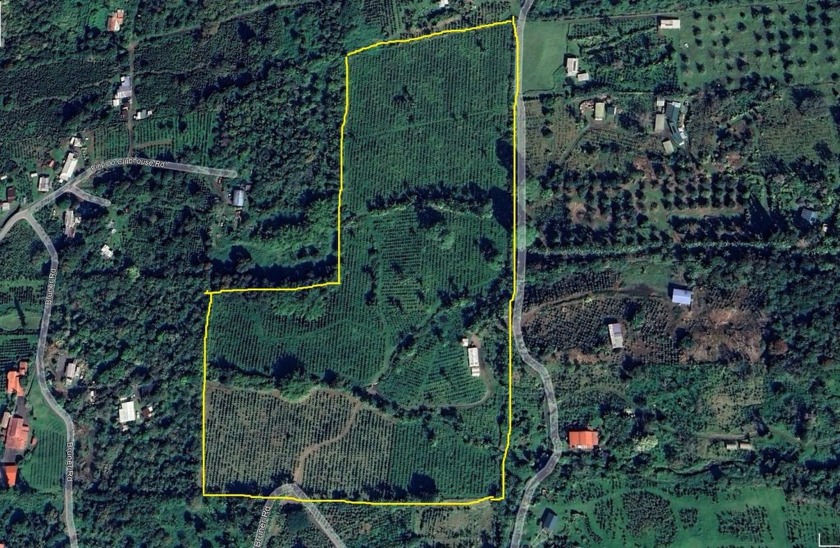 This is a leasehold property. 20 acres of producing Kona - Beach Acreage for sale in Captain Cook, Hawaii on Beachhouse.com