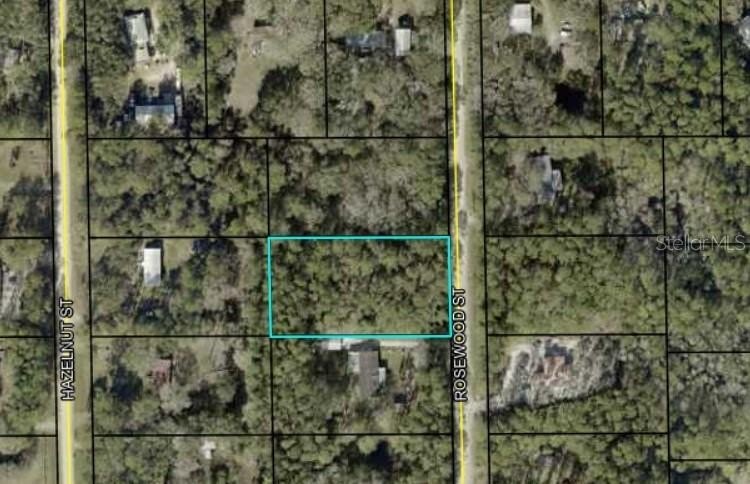 165' x 300' wooded lot (1.14 acres) located just under 30 - Beach Lot for sale in Bunnell, Florida on Beachhouse.com