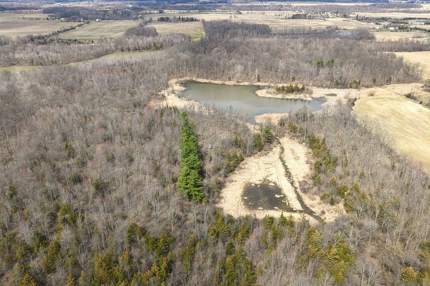 This beautiful property features rolling terrain with a mix of - Beach Acreage for sale in Osseo, Michigan on Beachhouse.com