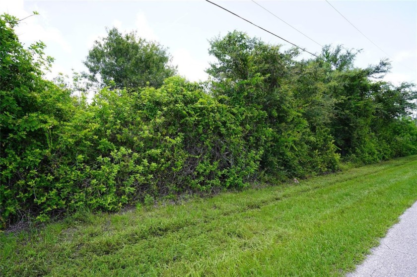 Zoned:  Multi Family 10 Units / Acre - Rmf10  Lot.
17,231 Lot - Beach Lot for sale in Port Charlotte, Florida on Beachhouse.com