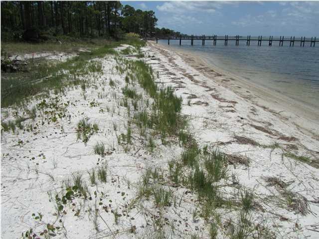 Lot 5, Grace Bay is a gorgeous bay front lot.  Grace Bay has a 1 - Beach Lot for sale in St. George Island, Florida on Beachhouse.com