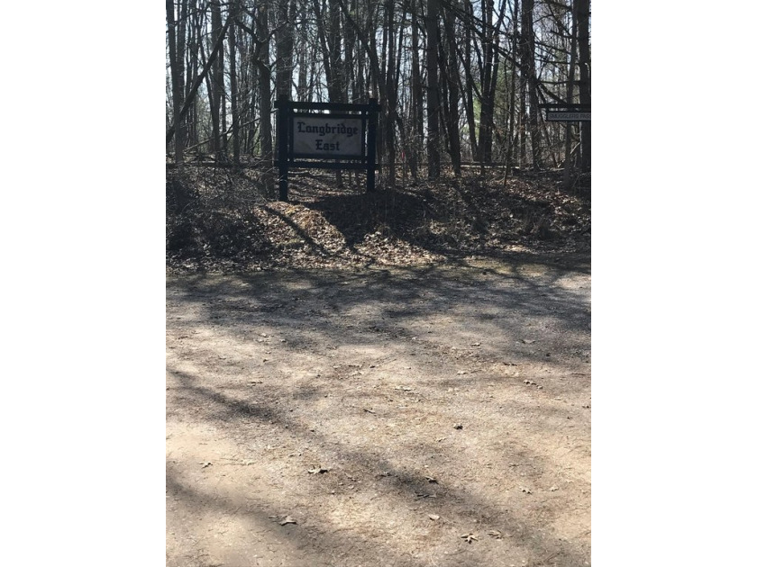 This is a rolling wooded lot on a private road with views of the - Beach Lot for sale in Pentwater, Michigan on Beachhouse.com