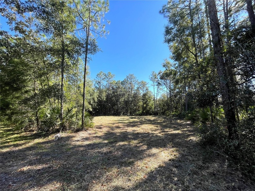 PRICE IMPROVEMENT!!!! Come and see this Beautiful Crystal River - Beach Lot for sale in Crystal River, Florida on Beachhouse.com