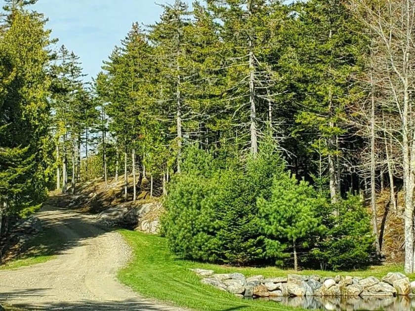 Large parcel of partially improved land just minutes from Port - Beach Acreage for sale in Saint George, Maine on Beachhouse.com