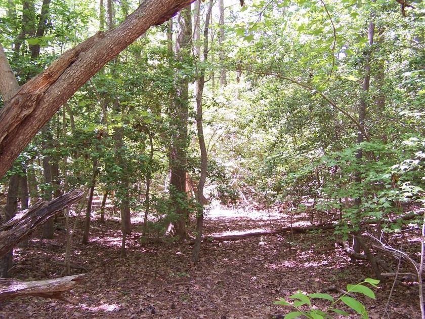 A beautifully wooded, building site, near Coopers Landing boat - Beach Lot for sale in Heathsville, Virginia on Beachhouse.com