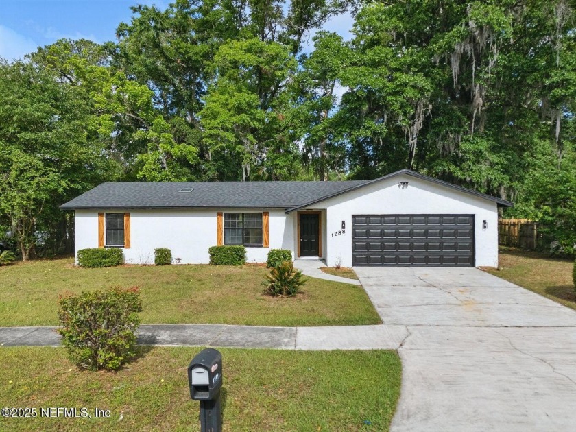 NEWLY RENOVATED this gorgeous 3-bedroom, 2-bathroom home with an - Beach Home for sale in Jacksonville, Florida on Beachhouse.com
