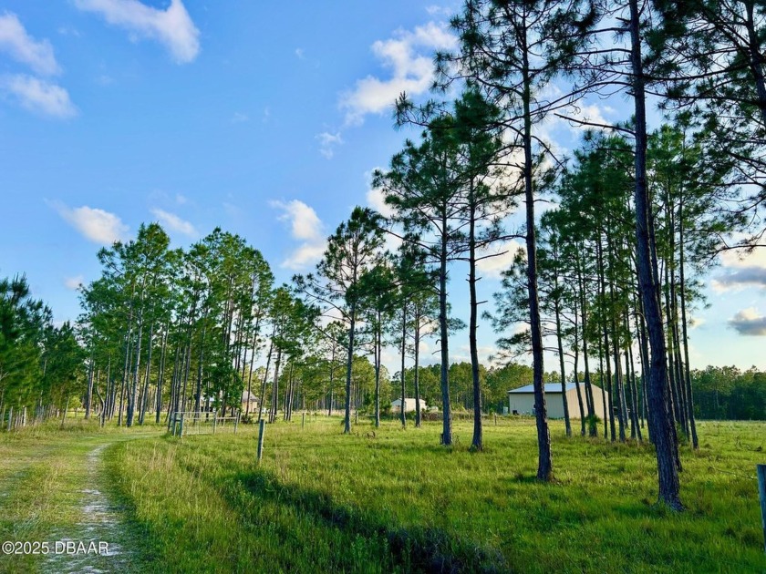 WELCOME TO THE FARM IN ORMOND!!! Amazing 20-acres with main barn - Beach Acreage for sale in Ormond Beach, Florida on Beachhouse.com