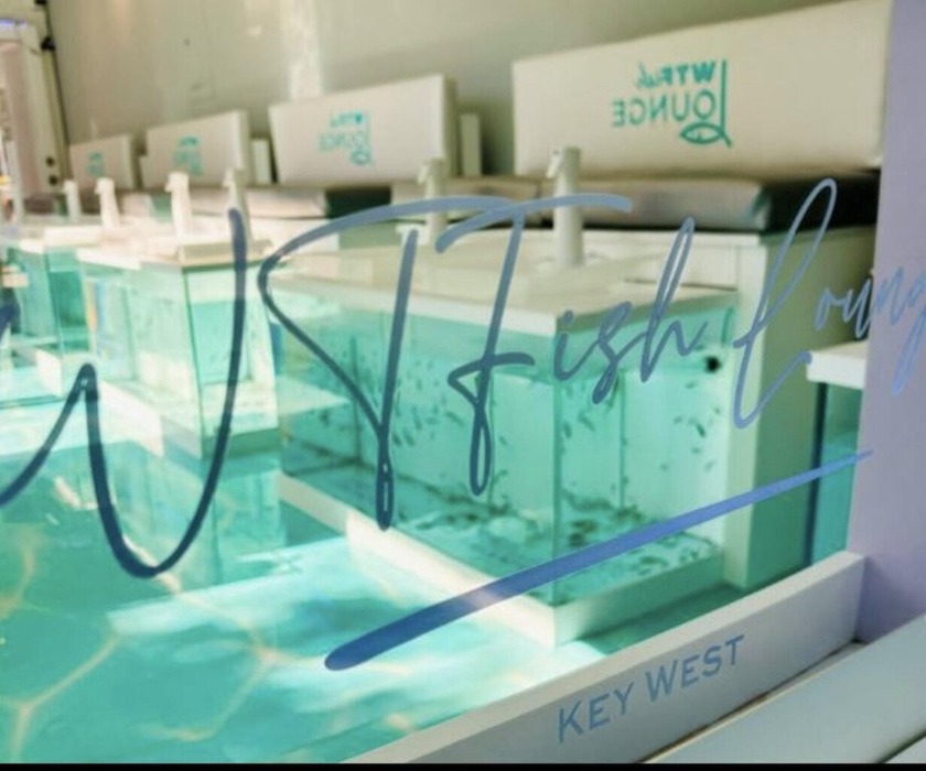 Step into ownership of a unique and thriving fish spa located in - Beach Lot for sale in Key West, Florida on Beachhouse.com