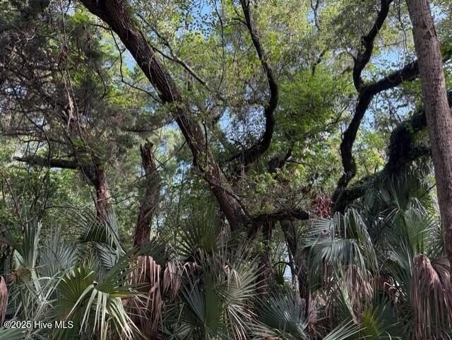Maritime Forest Homesite - ready to build your new home - - Beach Lot for sale in Bald Head Island, North Carolina on Beachhouse.com