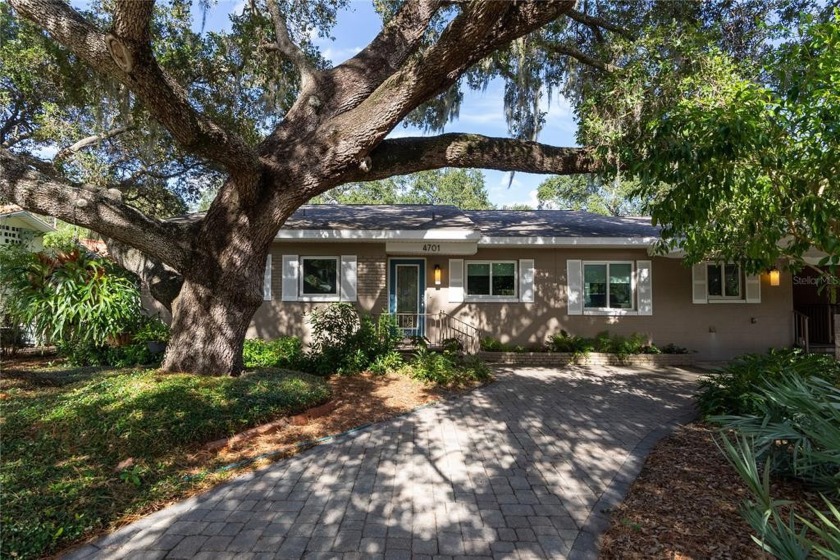 Beautiful waterfront home in South Tampa!!! Native Florida - Beach Home for sale in Tampa, Florida on Beachhouse.com