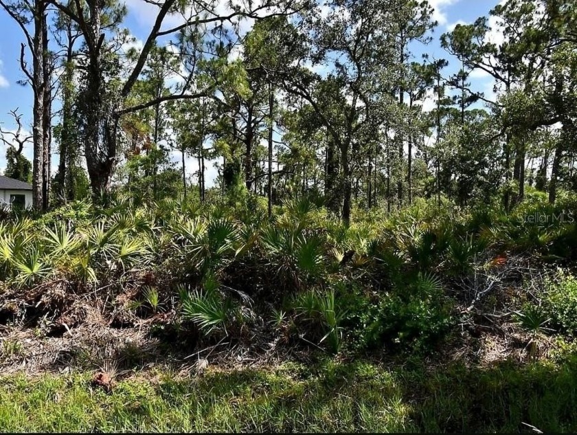 ARE YOU LOOKING TO BUILD OR INVEST! CHECK OUT THESE CONTIGUOUS - Beach Lot for sale in North Port, Florida on Beachhouse.com