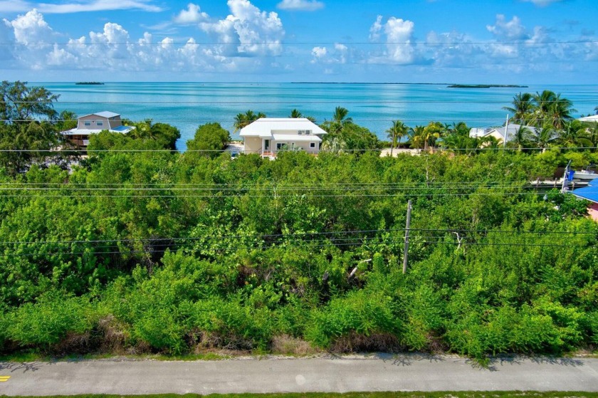 Double Waterfront Lot In Beatiful Summerland Key.12,500 SF Lot - Beach Lot for sale in Summerland Key, Florida on Beachhouse.com