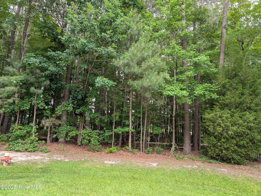 Over 1/2 acre cul-de-sac lot in prestigious Albemarle Plantation - Beach Lot for sale in Hertford, North Carolina on Beachhouse.com