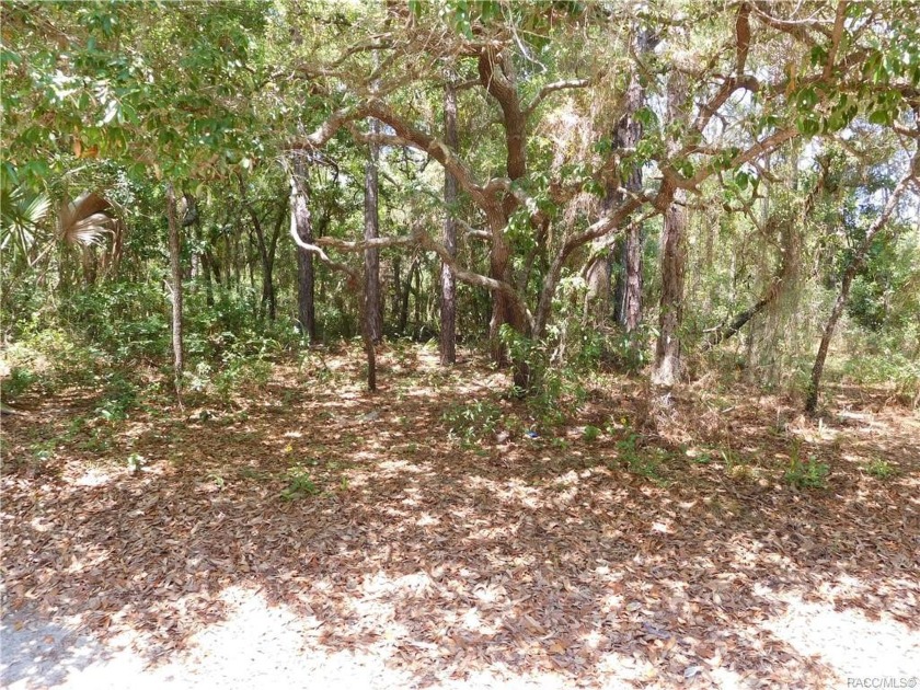 1 Acre get-away!  No HOA! Great for a single family or modular - Beach Lot for sale in Inglis, Florida on Beachhouse.com